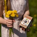 LEROS BYLINKOVÝ DETOX 20x1,5 g – Obrázok 2