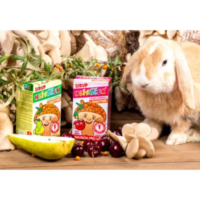 TEREZIA HLIVIAČIK S HLIVOU USTRICOVITOU + RAKYTNÍK sirup s príchuťou višne 100 ml – Obrázok 3