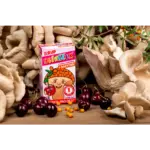 TEREZIA HLIVIAČIK S HLIVOU USTRICOVITOU + RAKYTNÍK sirup s príchuťou višne 100 ml – Obrázok 2