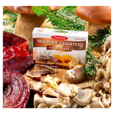 TEREZIA HUBOVÉ QUARTETO s REISHI 60 kapsúl – Obrázok 3