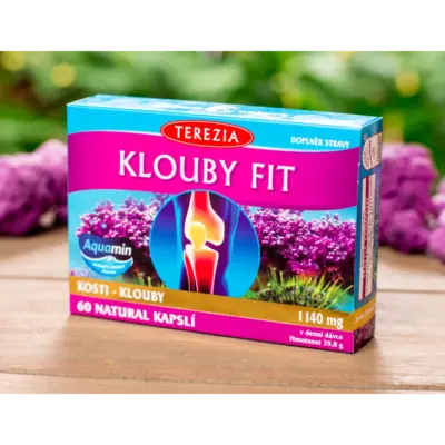 TEREZIA KĹBY FIT 60 kapsúl – Obrázok 2