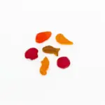 TEREZIA RAKYTNÍČEK želatínky s rakytníkom MORSKÝ SVET 140 ks – Obrázok 4