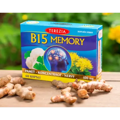 TEREZIA B15 MEMORY 60 kapsúl – Obrázok 2