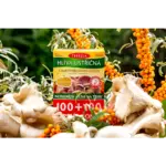 TEREZIA HLIVA USTRICOVITÁ S RAKYTNÍKOVÝM OLEJOM 200 kapsúl – Obrázok 2