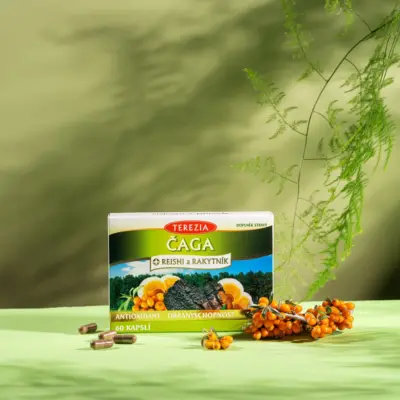 TEREZIA ČAGA + REISHI a RAKYTNÍK 60 kapsúl – Obrázok 2