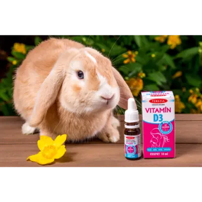 TEREZIA VITAMÍN D3 BABY kvapky 10 ml – Obrázok 2