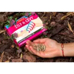 TEREZIA ŽILY & CIEVY 60 kapsúl – Obrázok 3