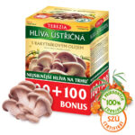 TEREZIA HLIVA USTRICOVITÁ S RAKYTNÍKOVÝM OLEJOM 200 kapsúl