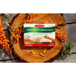 TEREZIA HERICIUM ERINACEUS s rakytníkovým olejom 60 kapsúl – Obrázok 3