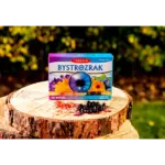 TEREZIA BYSTROZRAK 60 kapsúl – Obrázok 2