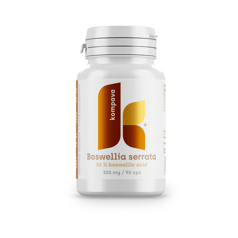 KOMPAVA Boswellia serrata 90 kapsúl – Obrázok 1
