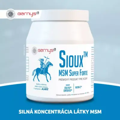 Barny′s® Sioux MSM Super Forte prášok 600 g – Obrázok 2