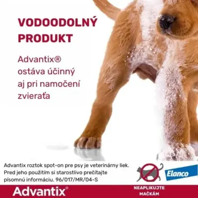 Advantix Spot-on pre psy 25 - 40 kg 1x4 ml – Obrázok 6