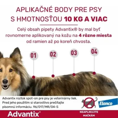 Advantix Spot-on pre psy 25 - 40 kg 1x4 ml – Obrázok 7