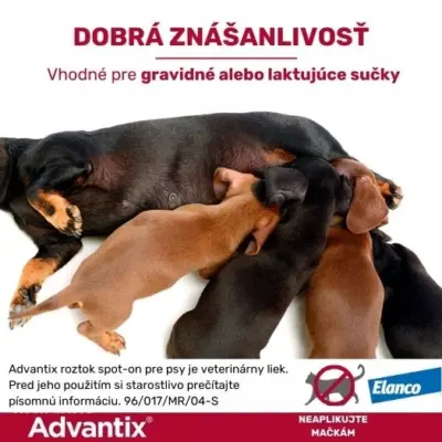 Advantix Spot-on pre psy 25 - 40 kg 1x4 ml – Obrázok 11