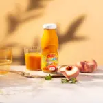 TEREZIA RAKYTNÍČEK BIO Rakytníkový nápoj s broskyňou a medom 200 ml – Obrázok 2