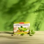 TEREZIA ASHWAGANDHA 60 kapsúl – Obrázok 2