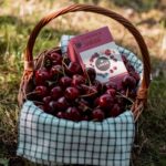 LEROS ČAJOVÁ CHVÍĽKA VIŠŇA & CASCARA bylinný čaj aromatizovaný, nálevové vrecká 20x2 g – Obrázok 3