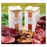 TEREZIA REISHI V KÁVE fine vrecúška 20x11 g – Obrázok 3