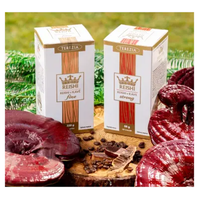 TEREZIA REISHI V KÁVE fine vrecúška 20x11 g – Obrázok 3